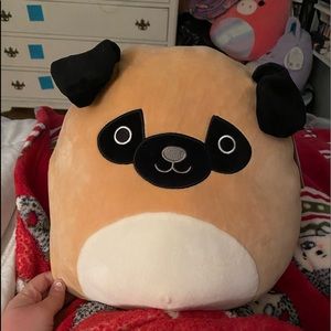 Prince the Pug Squishmallow